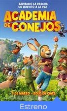 Academia de conejos